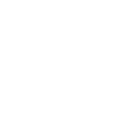Diagnose & Elektronik